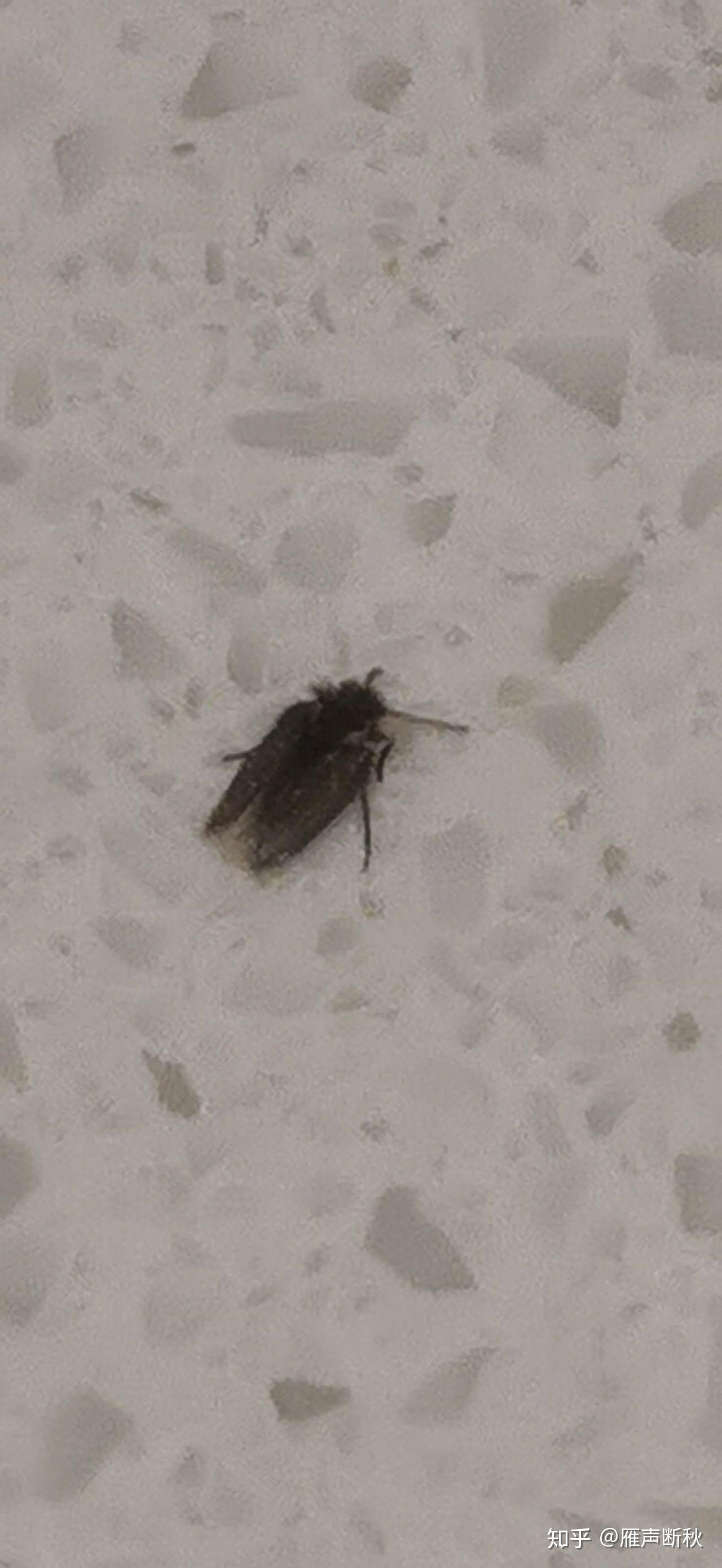 娱乐生活 第61页