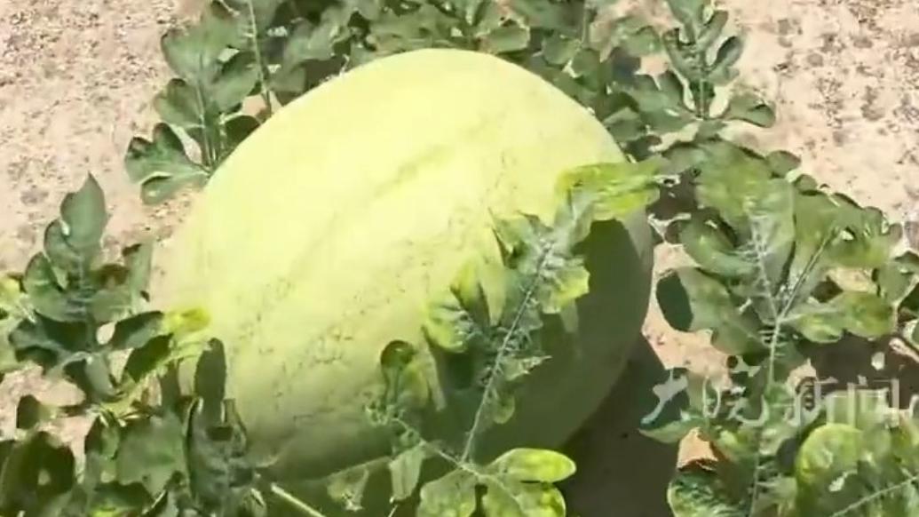 游戏专题 第25页